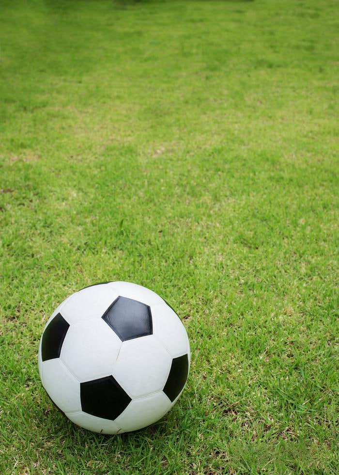 用户李女士头像